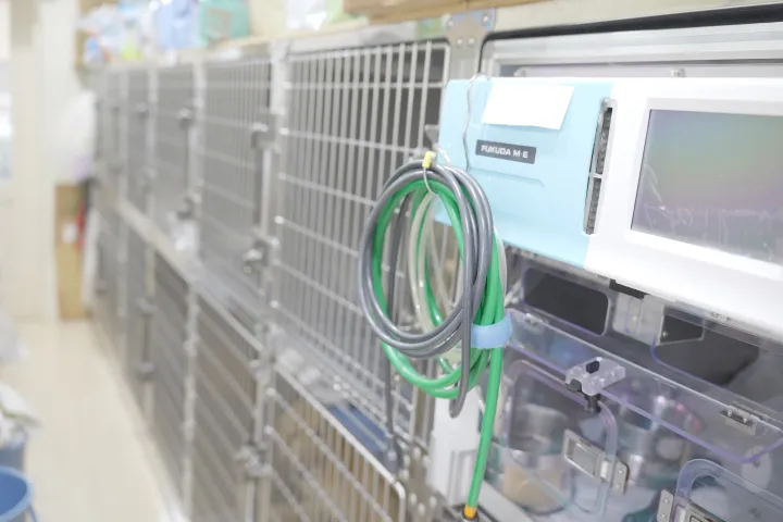 アギー動物病院