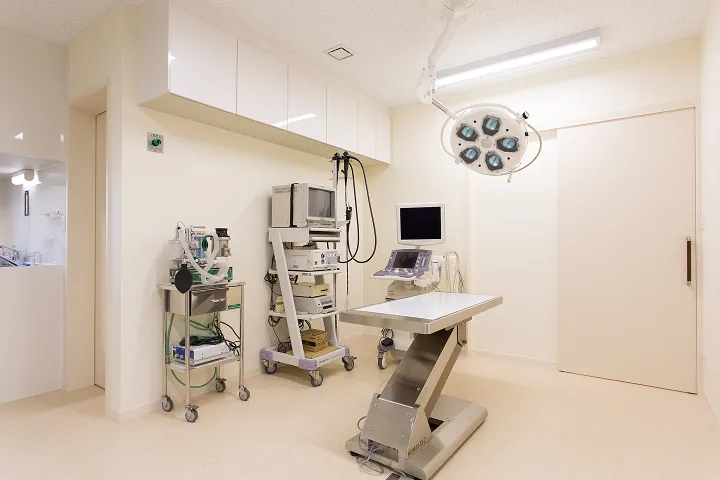 アギー動物病院