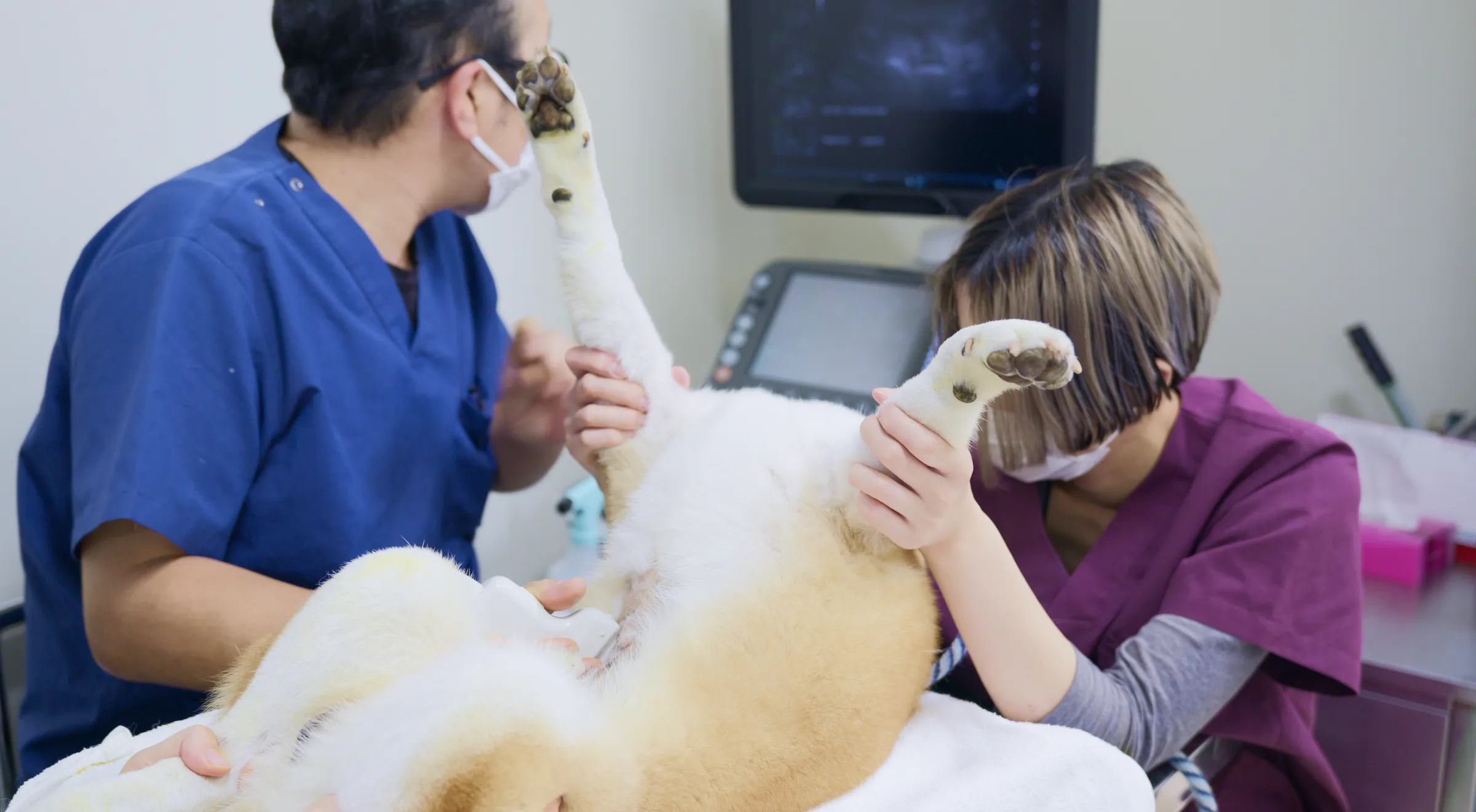 アギー動物病院
