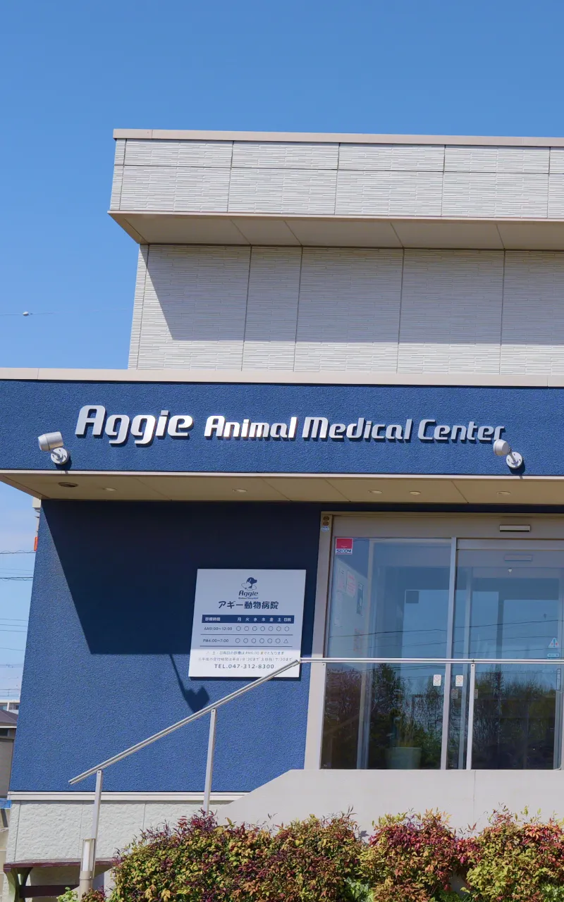 アギー動物病院
