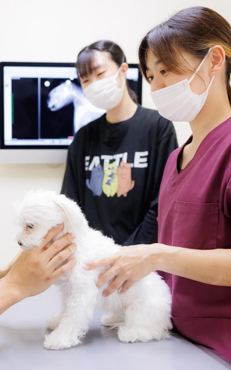 アギー動物病院