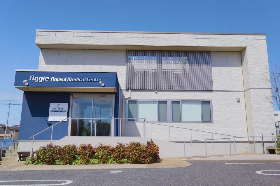 アギー動物病院