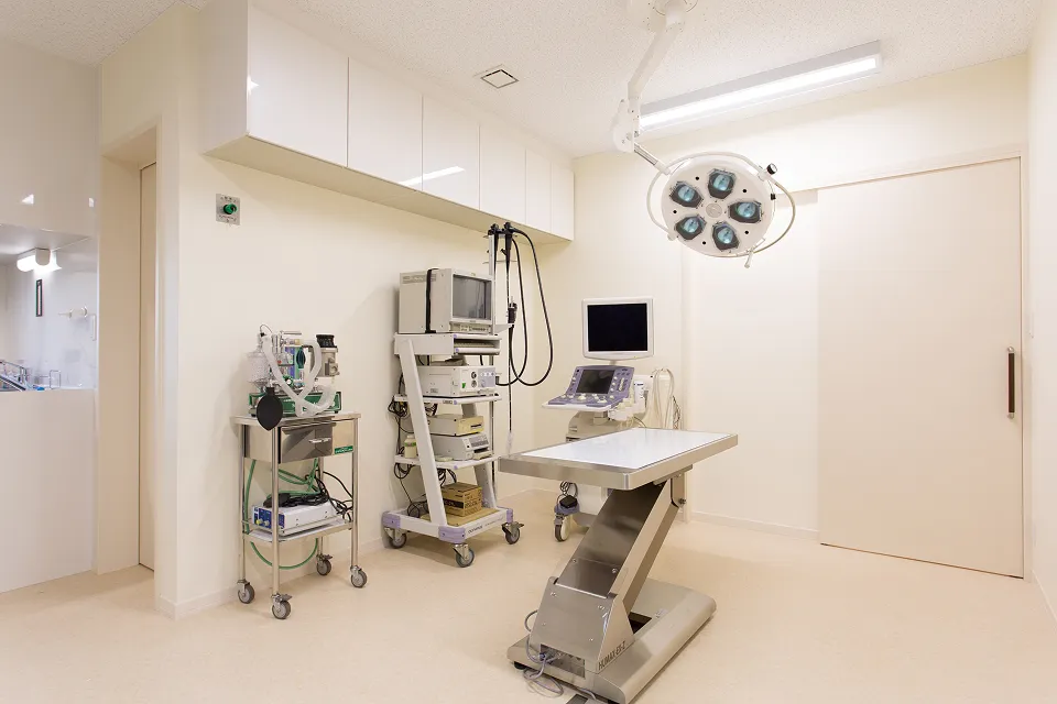 アギー動物病院