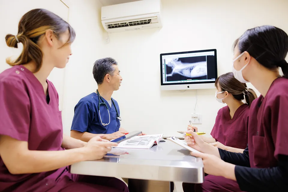 アギー動物病院