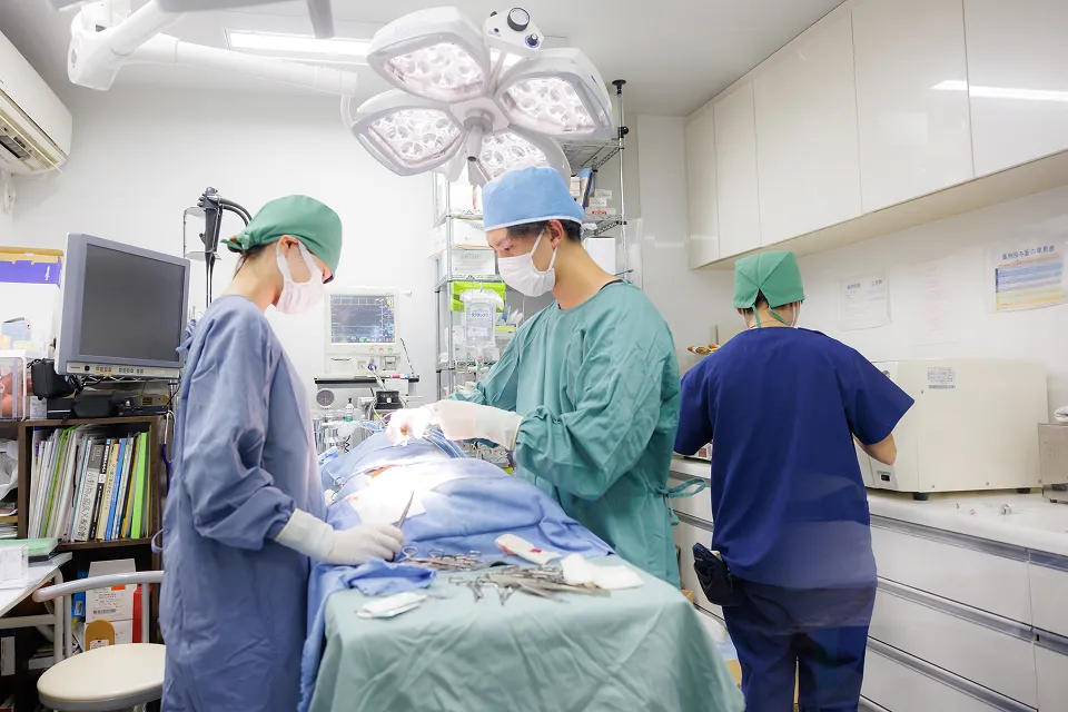 アギー動物病院