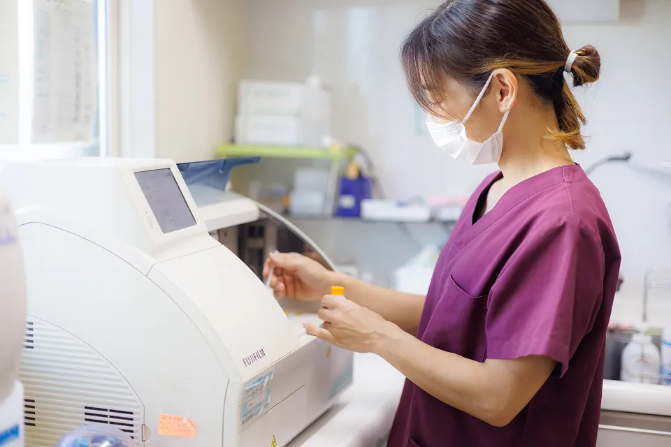 アギー動物病院