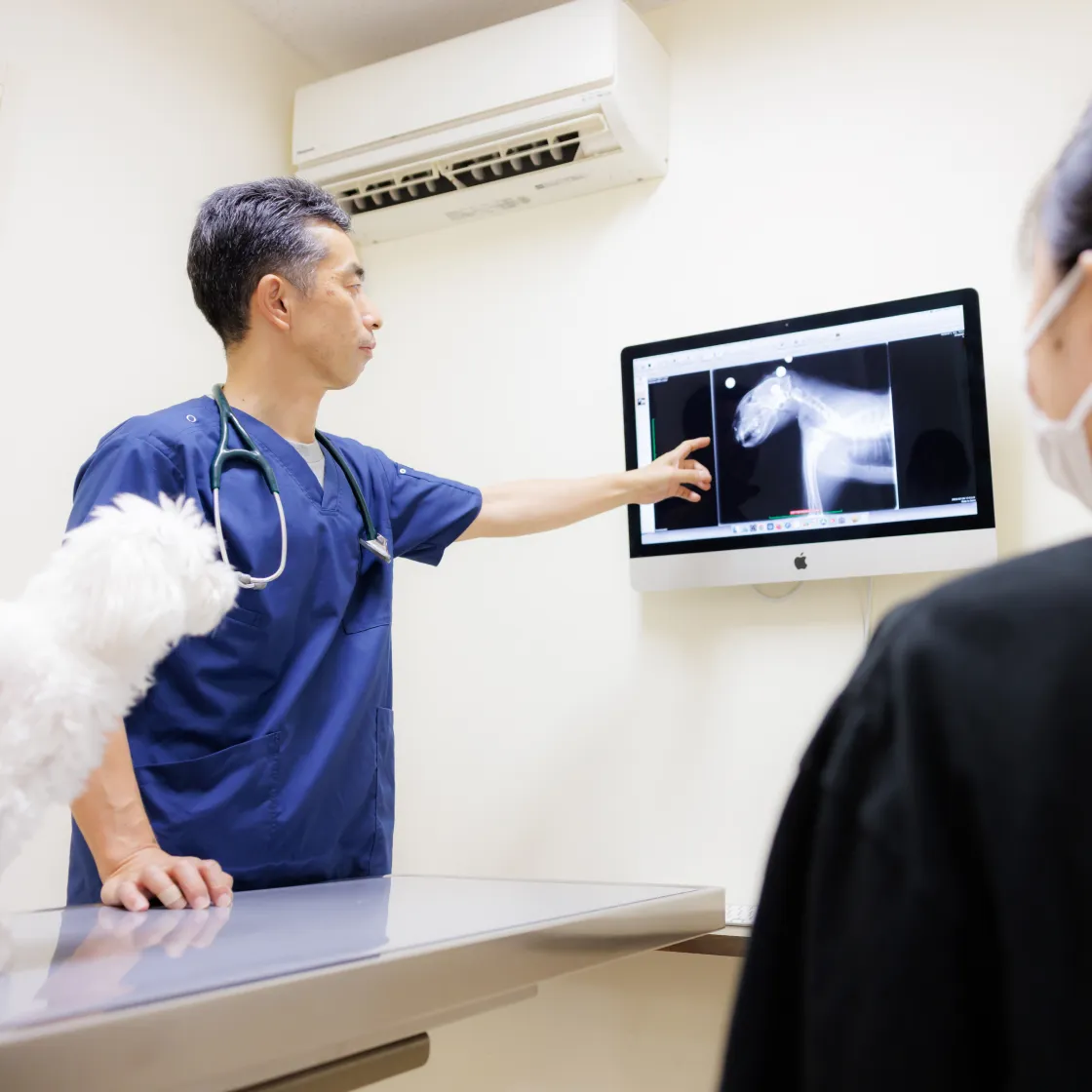 アギー動物病院